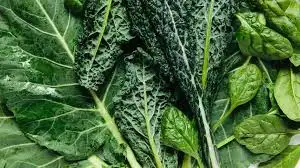 <p>Lutein</p>